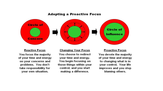 Circles of Concern and Influence.