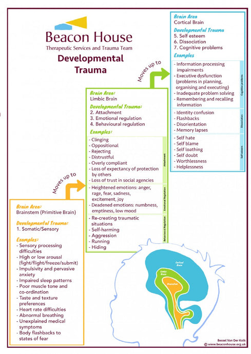Understanding and responding to developmental trauma quick guide