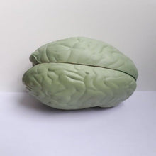 Load image into Gallery viewer, Cross Section Brain Model - Social Work Key